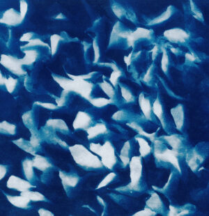 Cover of Yakoba - Mosaic RCS001